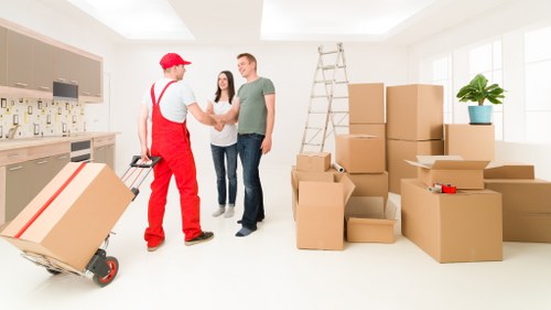 Professional man and van helping with a flat move in West Norwood